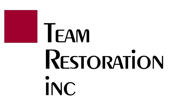 Team Restoration